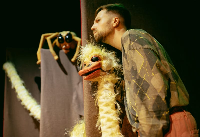 DeStrekstruis_800x550